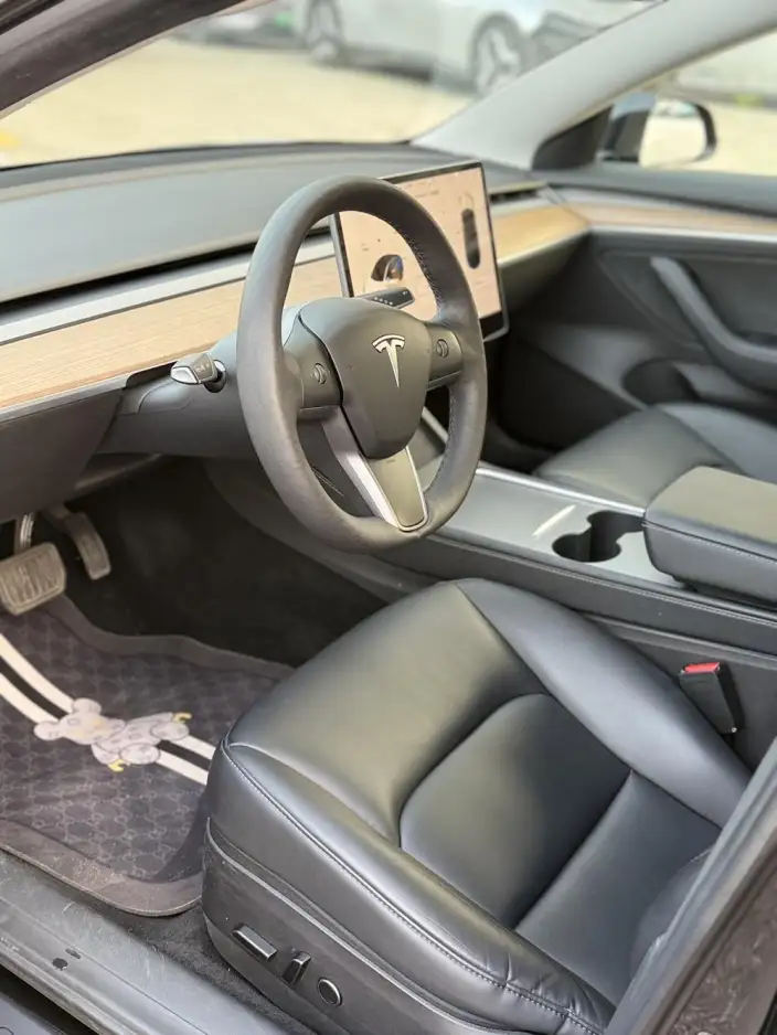 Model 3 2022 Model Rear-wheel drive version – фото 8