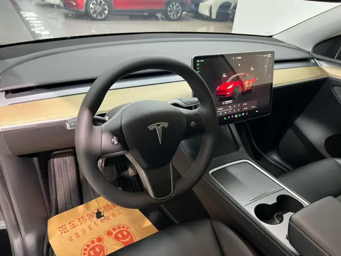 Model Y 2022 Model Facelift Rear-wheel drive version – фото 6