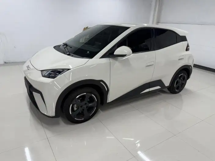 BYD Seagull 2023 Model Vitality Edition