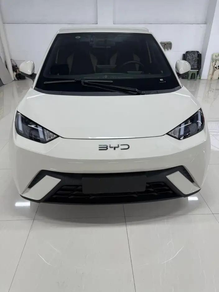BYD Seagull 2023 Model Vitality Edition