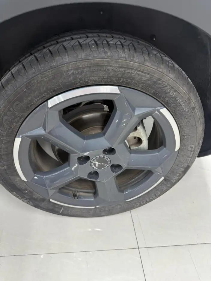 BYD Seagull 2023 Model Vitality Edition – фото 6