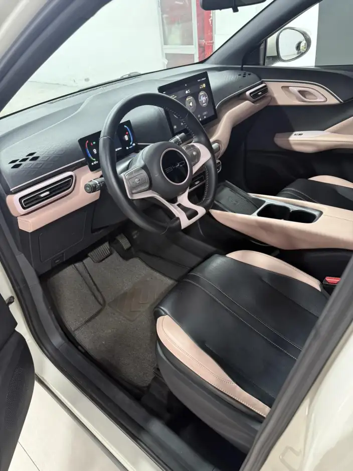 BYD Seagull 2023 Model Vitality Edition – фото 8