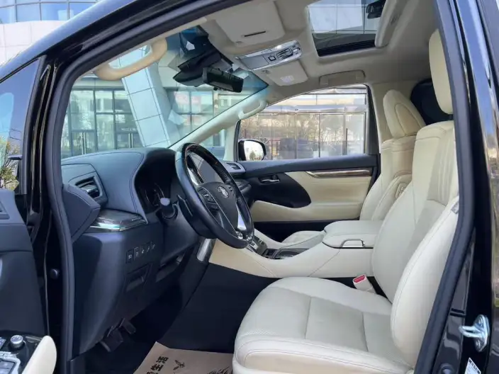 Elfa 2021 Model Hybrid 2.5L Premium Edition – фото 8