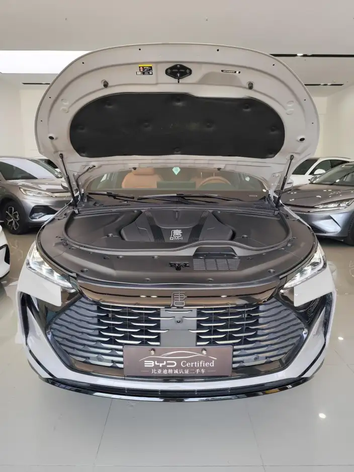 BYD Tang DM 2025 Model Smart Driving Edition DM-i 175KM Zunrong Model – фото 9