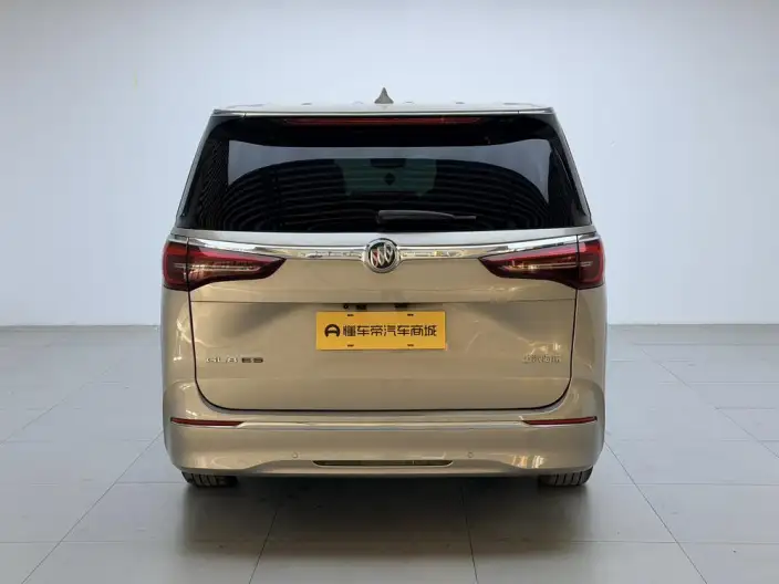 Buick GL8 2023 Model ES Luzun 2.0T Exclusive Model – фото 6