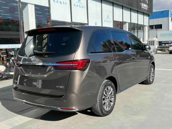 Buick GL8 2023 Model Business class 2.0T Comfort Model – фото 6