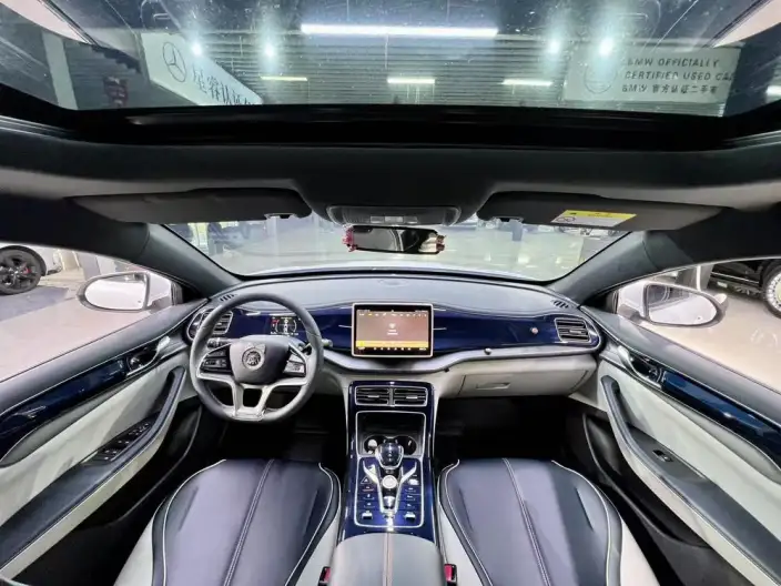 Qin Plus EV 2021 Model 500KM Luxury Model – фото 7