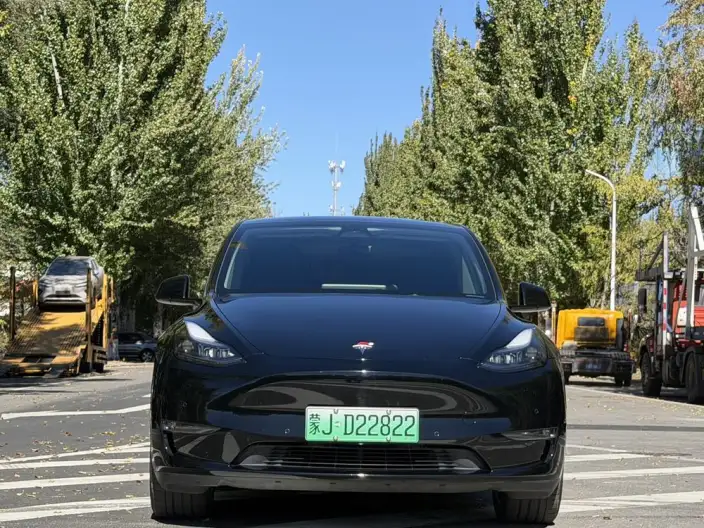 Model Y 2022 Model Facelift Long Battery Life Pro All-wheel drive version – фото 2