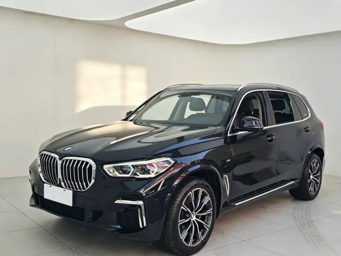BMW X5 2022 Model xDrive 30Li Exclusive Model M Sports Set – фото 1