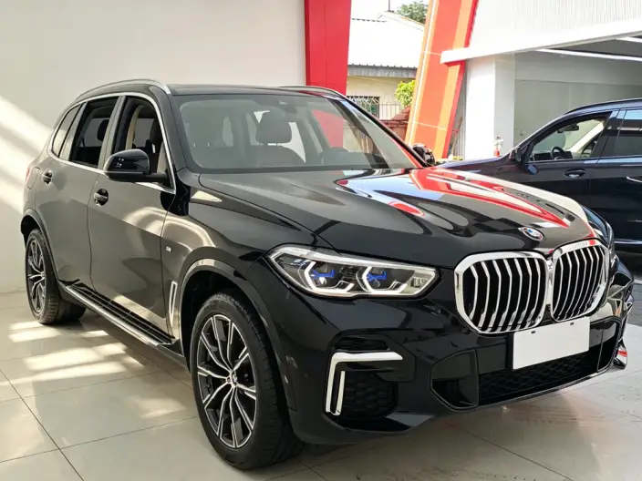 BMW X5 2022 Model xDrive 30Li Exclusive Model M Sports Set – фото 3
