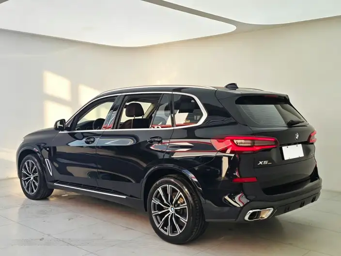 BMW X5 2022 Model xDrive 30Li Exclusive Model M Sports Set – фото 5