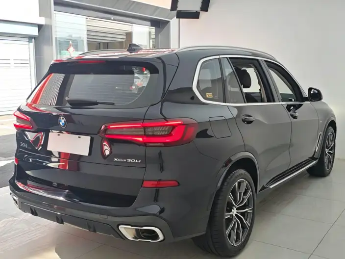 BMW X5 2022 Model xDrive 30Li Exclusive Model M Sports Set – фото 7
