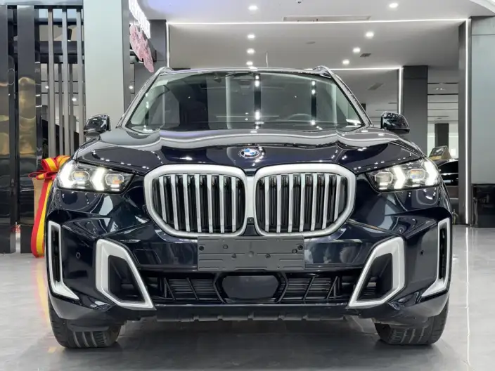 BMW X5 2023 Model xDrive30Li Exclusive Model M Sports Set – фото 2