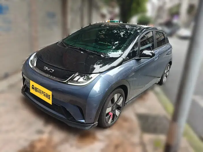 BYD Dolphin 2025 Model 520KM Knight Edition – фото 1