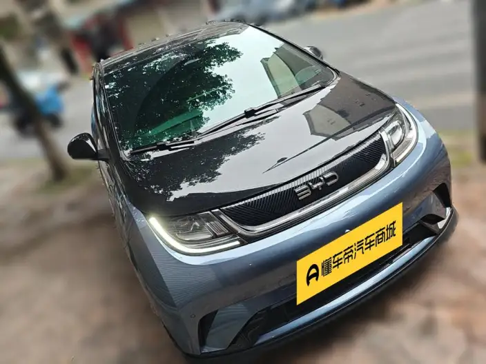 BYD Dolphin 2025 Model 520KM Knight Edition – фото 3