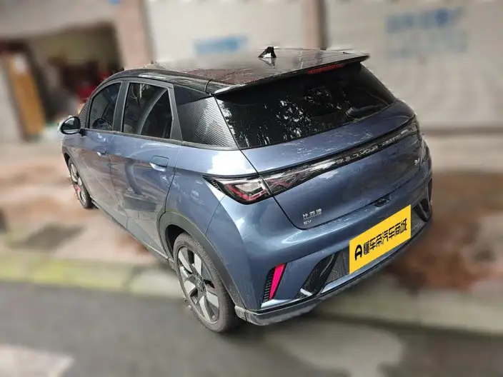 BYD Dolphin 2025 Model 520KM Knight Edition – фото 4