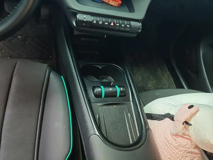 BYD Dolphin 2025 Model 520KM Knight Edition – фото 9