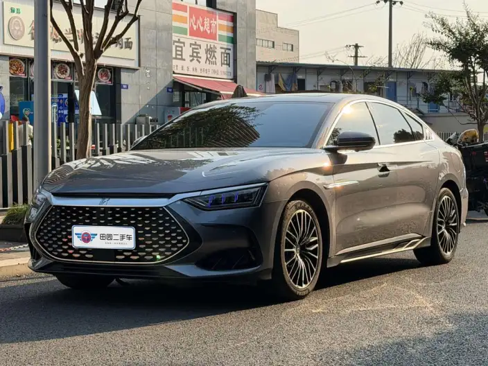 BYD Han DM 2022 Model DM-i 121KM Exclusive Model – фото 1