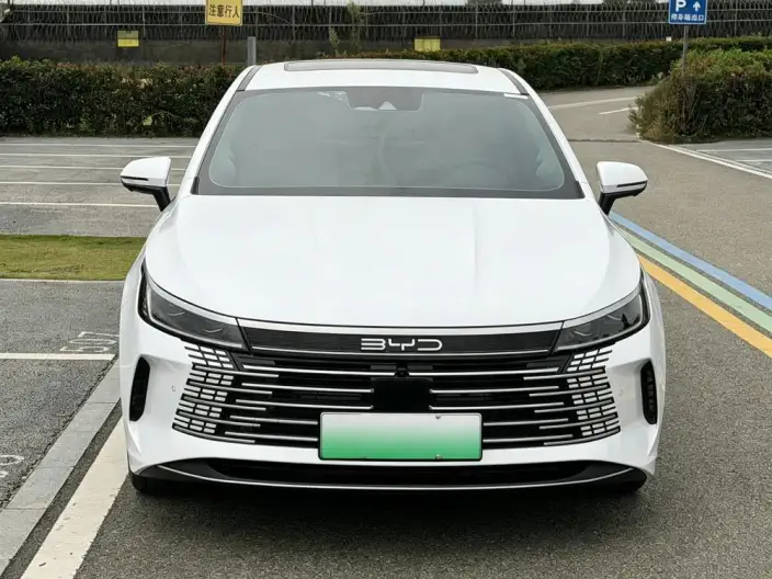 BYD Destroyer 05 2022 Model DM-i 55KM Noble Model – фото 2
