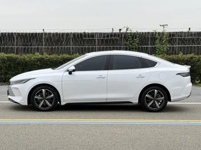 BYD Destroyer 05 2022 Model DM-i 55KM Noble Model – фото 4