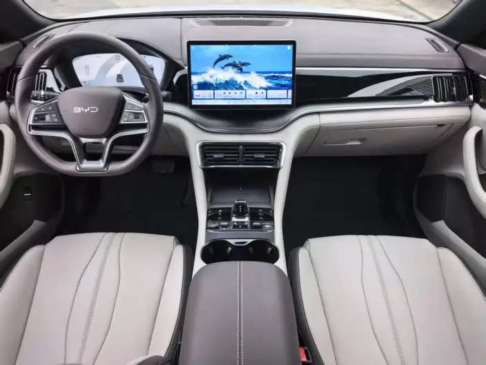BYD Song PLUS DM 2025 Model DM-i 112KM Noble Model – фото 5