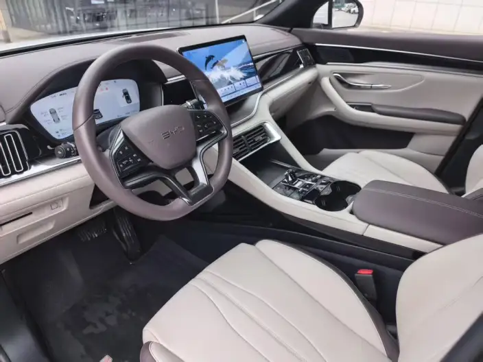BYD Song PLUS DM 2025 Model DM-i 112KM Noble Model – фото 7