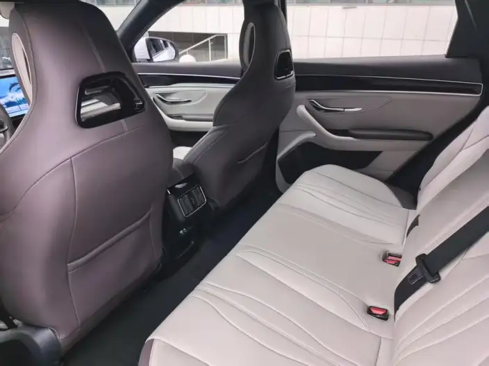 BYD Song PLUS DM 2025 Model DM-i 112KM Noble Model – фото 8