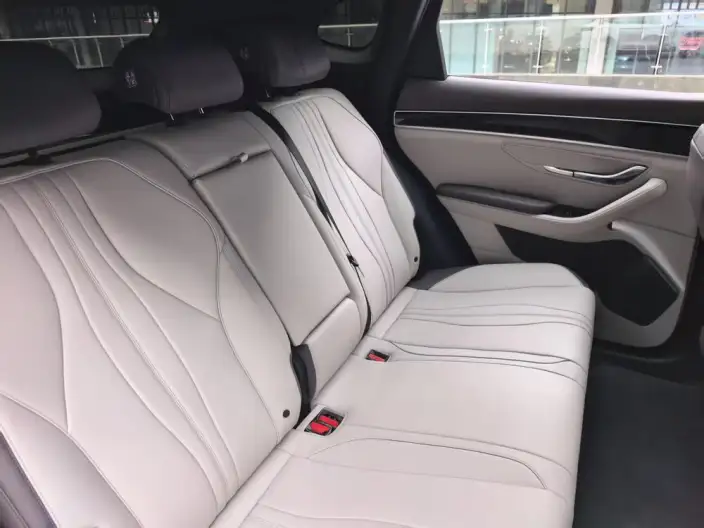BYD Song PLUS DM 2025 Model DM-i 112KM Noble Model – фото 9