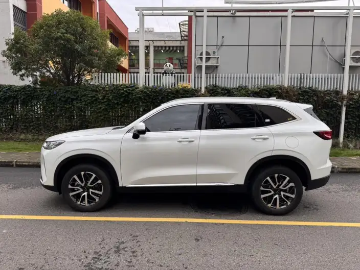 Haval H6 2022 Model Third generation 1.5T Automatic 2WD Pro