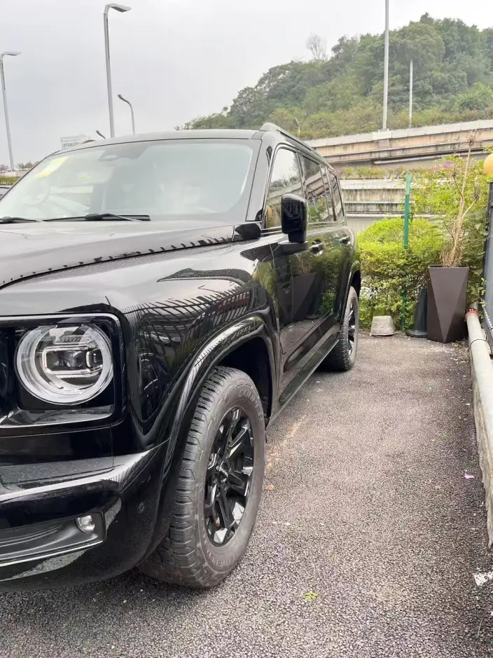 Haval H9 2025 Model 2.4T Diesel 4WD Yongshi Edition – фото 5