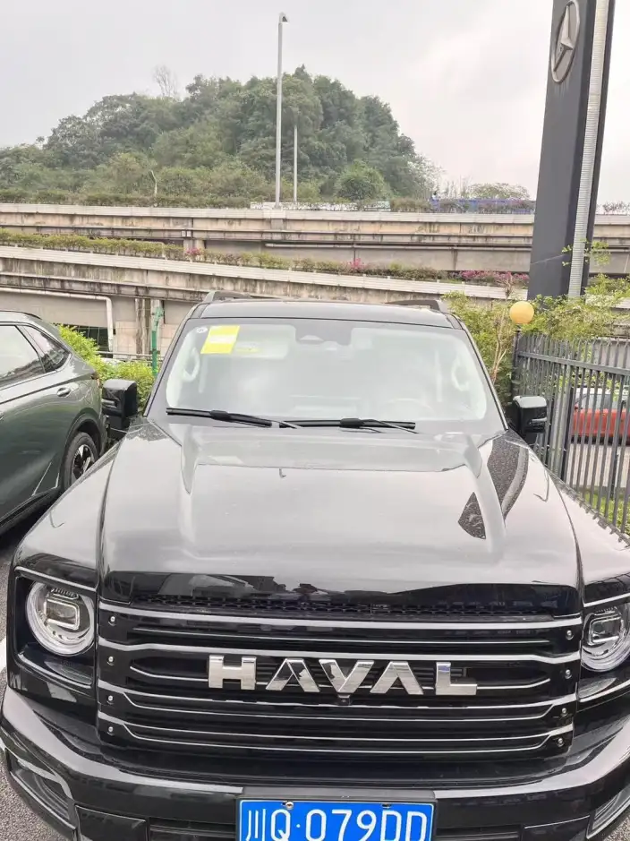 Haval H9 2025 Model 2.4T Diesel 4WD Yongshi Edition – фото 8