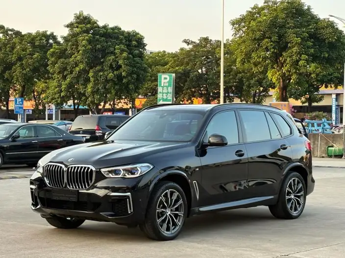 BMW X5 2022 Model xDrive 30Li Exclusive Model M Sports Set – фото 1