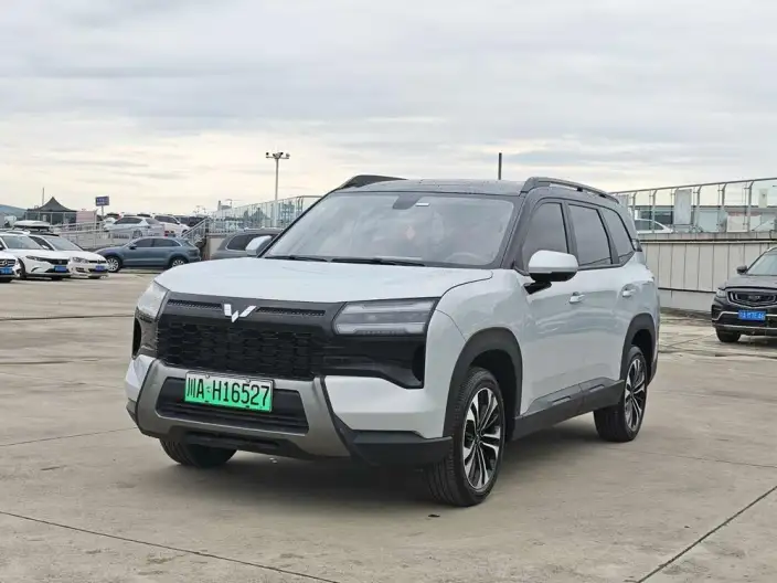 Xingguang 560 PHEV 2026 Model 125km Luxury Model