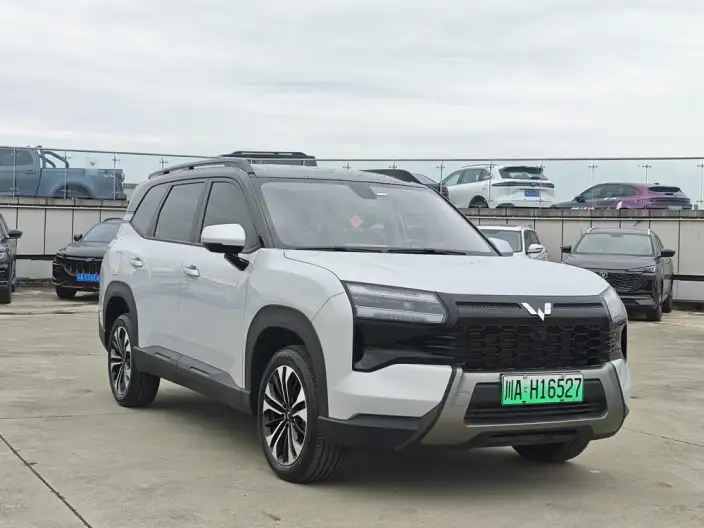Xingguang 560 PHEV 2026 Model 125km Luxury Model
