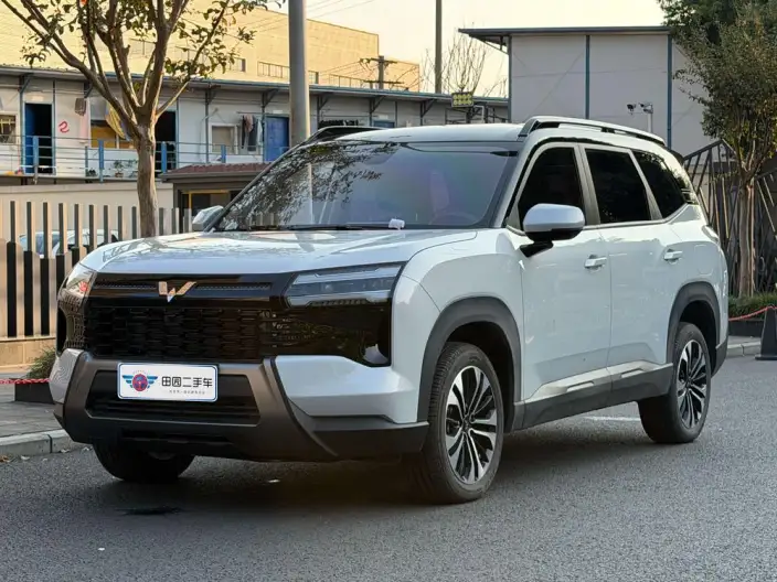 Xingguang 560 PHEV 2026 Model 125km Luxury Model