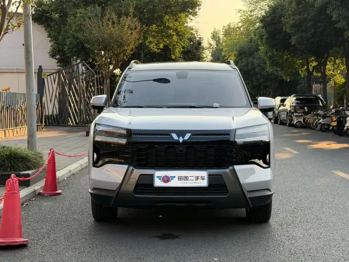 Xingguang 560 PHEV 2026 Model 125km Luxury Model