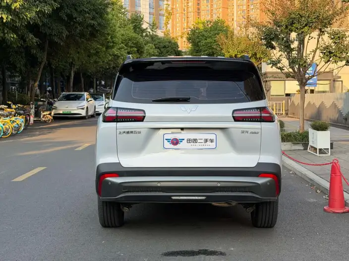 Xingguang 560 PHEV 2026 Model 125km Luxury Model – фото 5