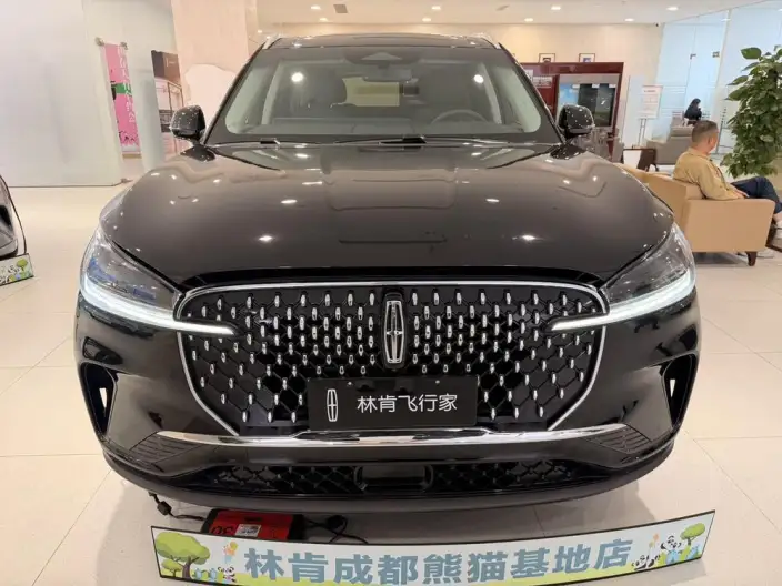 Aviator 2024 Model 3.0T V6 4WD Elegant Edition VI seat