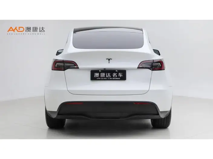 Model Y 2022 Model Facelift Long Battery Life Pro All-wheel drive version – фото 3
