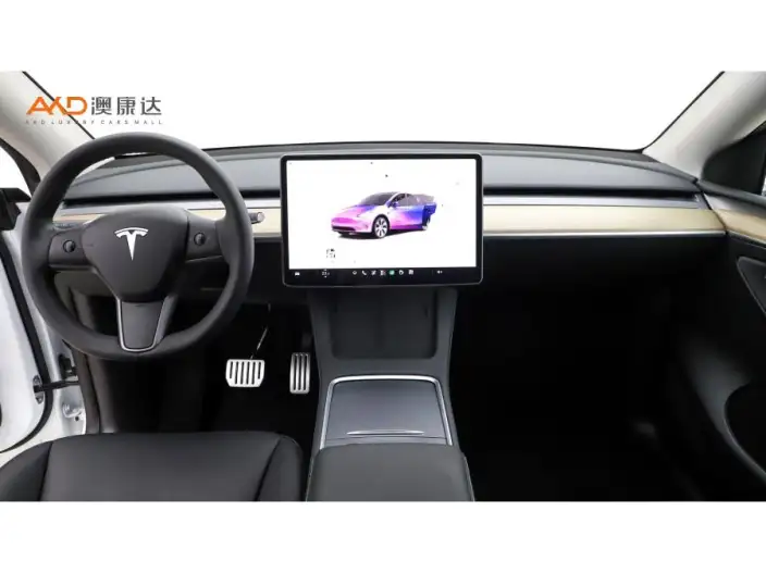 Model Y 2022 Model Facelift Long Battery Life Pro All-wheel drive version – фото 6