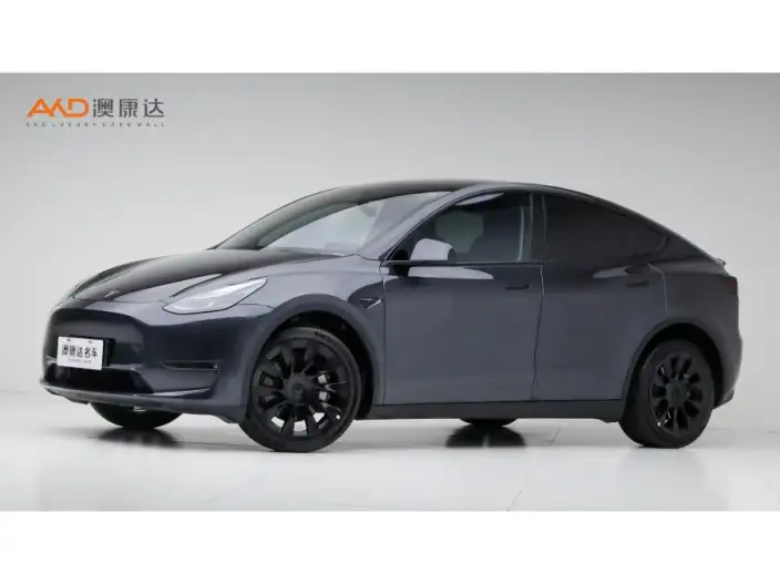 Model Y 2024 Model Long Battery Life Pro All-wheel drive version – фото 1