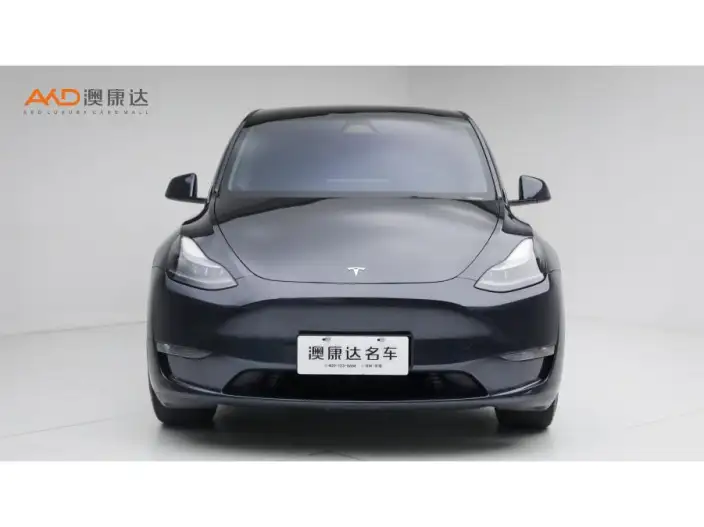 Model Y 2024 Model Long Battery Life Pro All-wheel drive version – фото 2