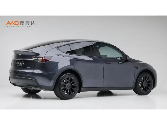 Model Y 2024 Model Long Battery Life Pro All-wheel drive version – фото 4