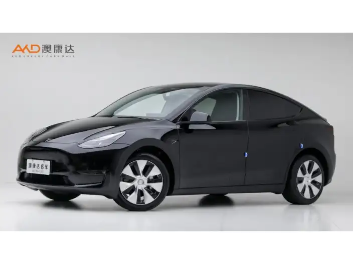 Model Y 2022 Model Facelift Long Battery Life Pro All-wheel drive version – фото 1