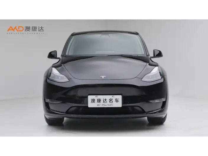 Model Y 2022 Model Facelift Long Battery Life Pro All-wheel drive version – фото 2