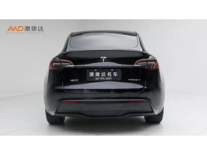 Model Y 2022 Model Facelift Long Battery Life Pro All-wheel drive version – фото 3