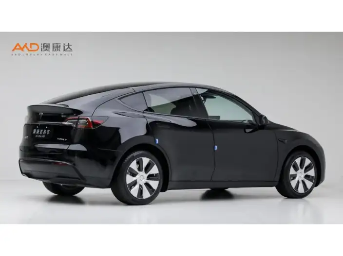 Model Y 2022 Model Facelift Long Battery Life Pro All-wheel drive version – фото 4