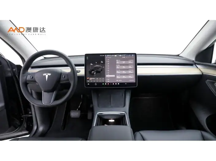 Model Y 2022 Model Facelift Long Battery Life Pro All-wheel drive version – фото 7