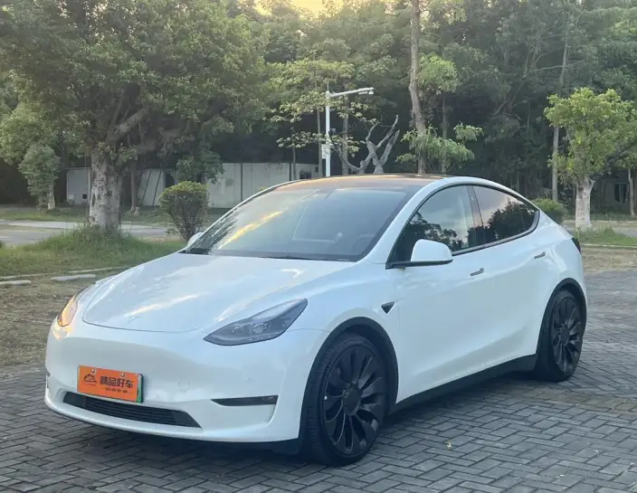 Model Y 2022 Model Performance High performance All-wheel drive version