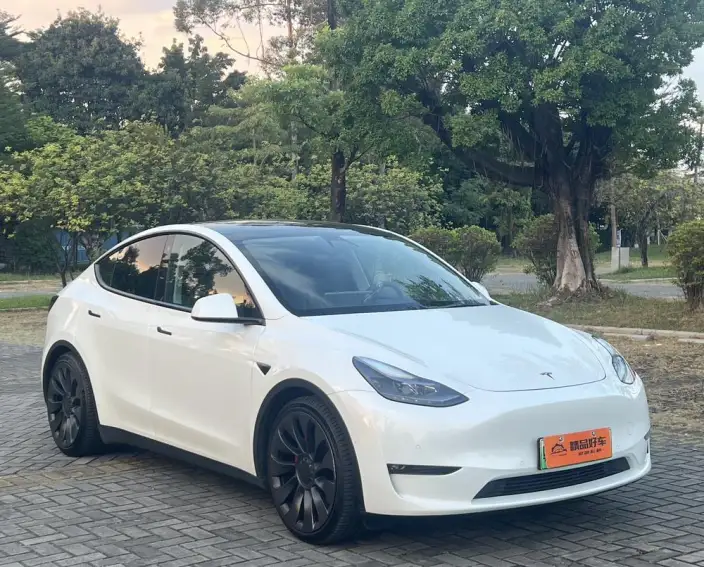 Model Y 2022 Model Performance High performance All-wheel drive version